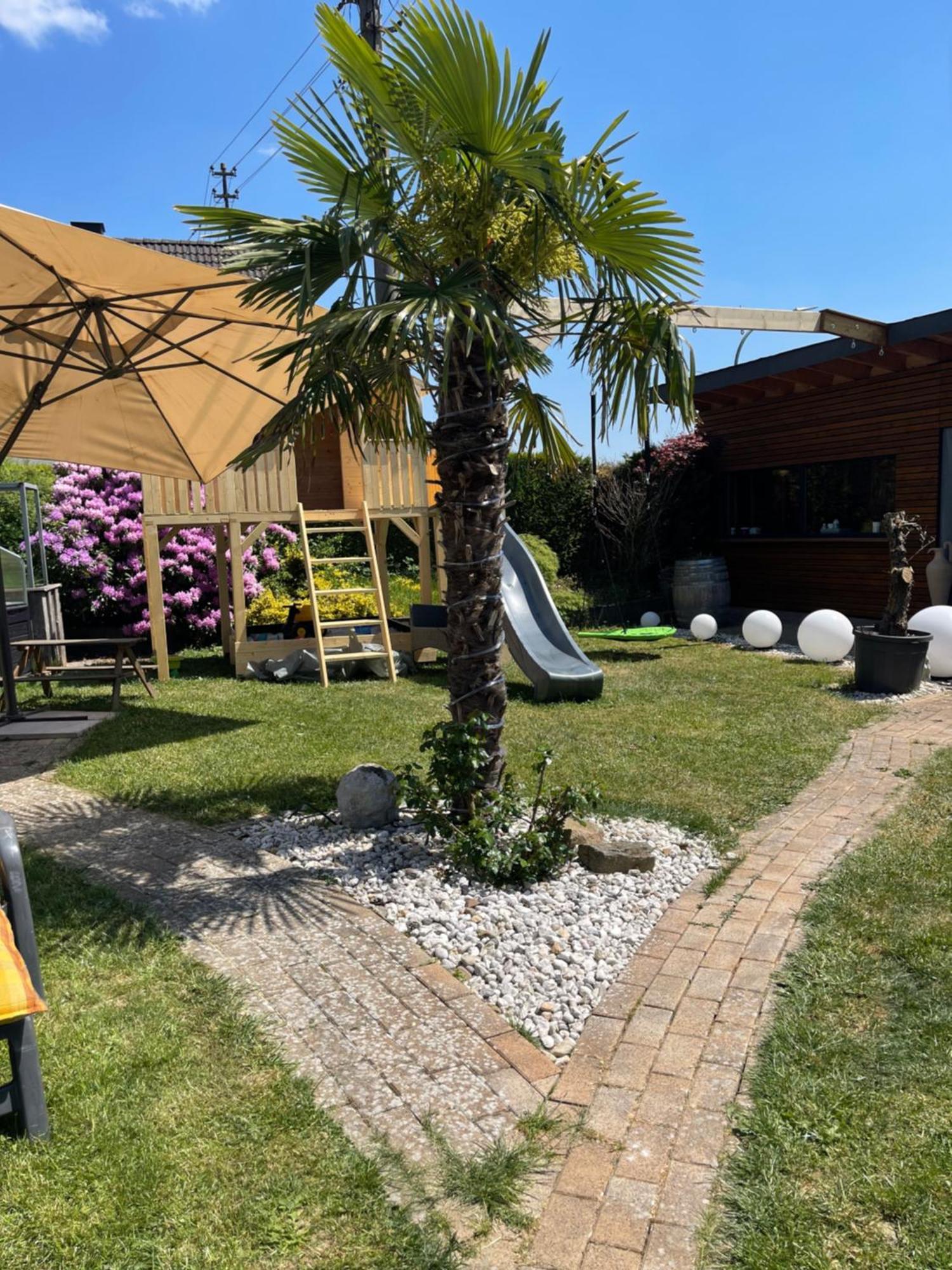 Haus Cornelia II Apartment Simmerath Bagian luar foto